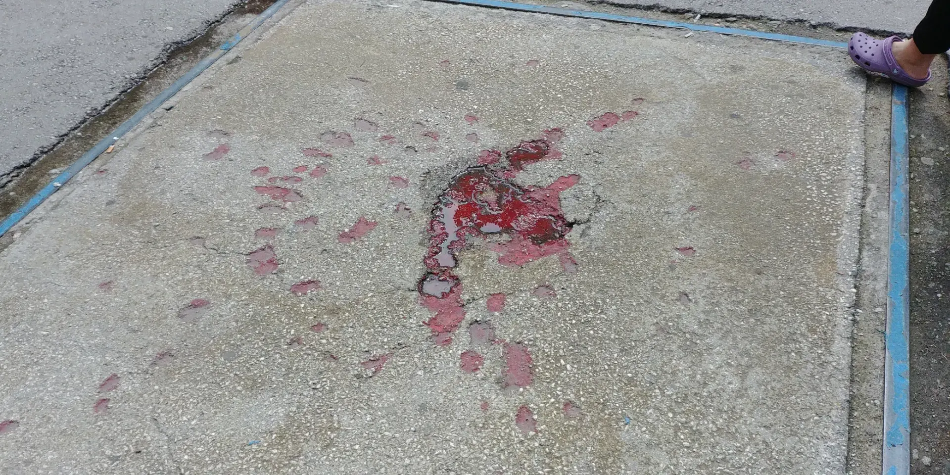 Sarajevo rose.